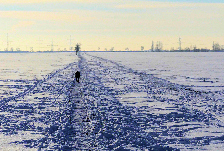 Winter 2021