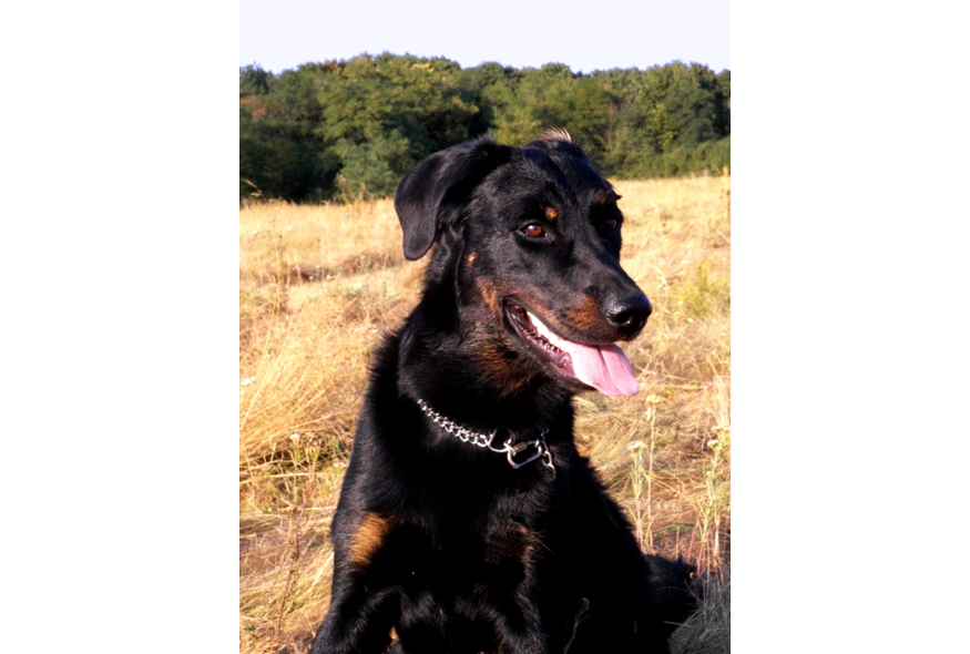 Beagan am 05.08.2013