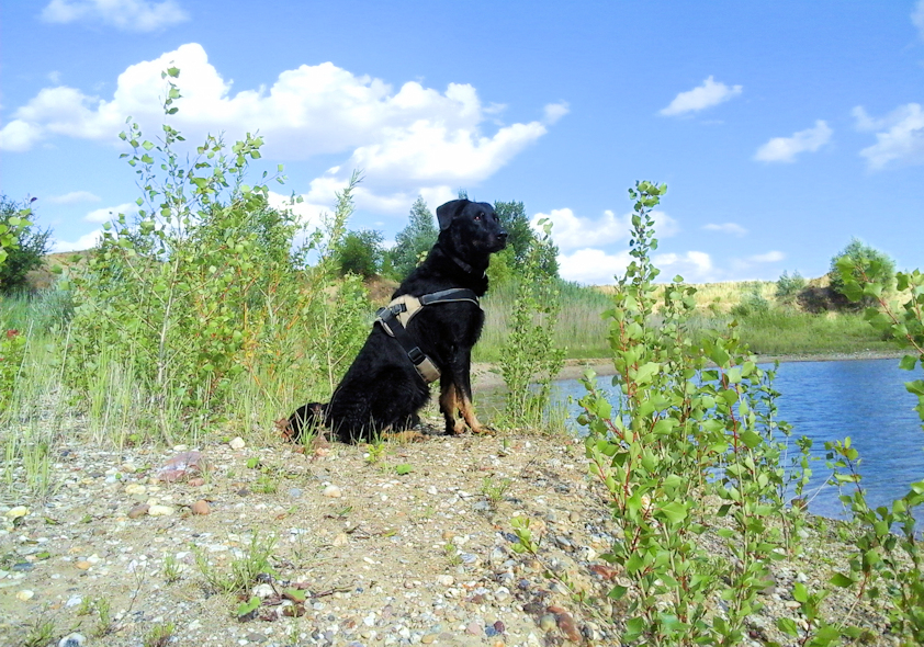 10.07.2022 Sandgrube