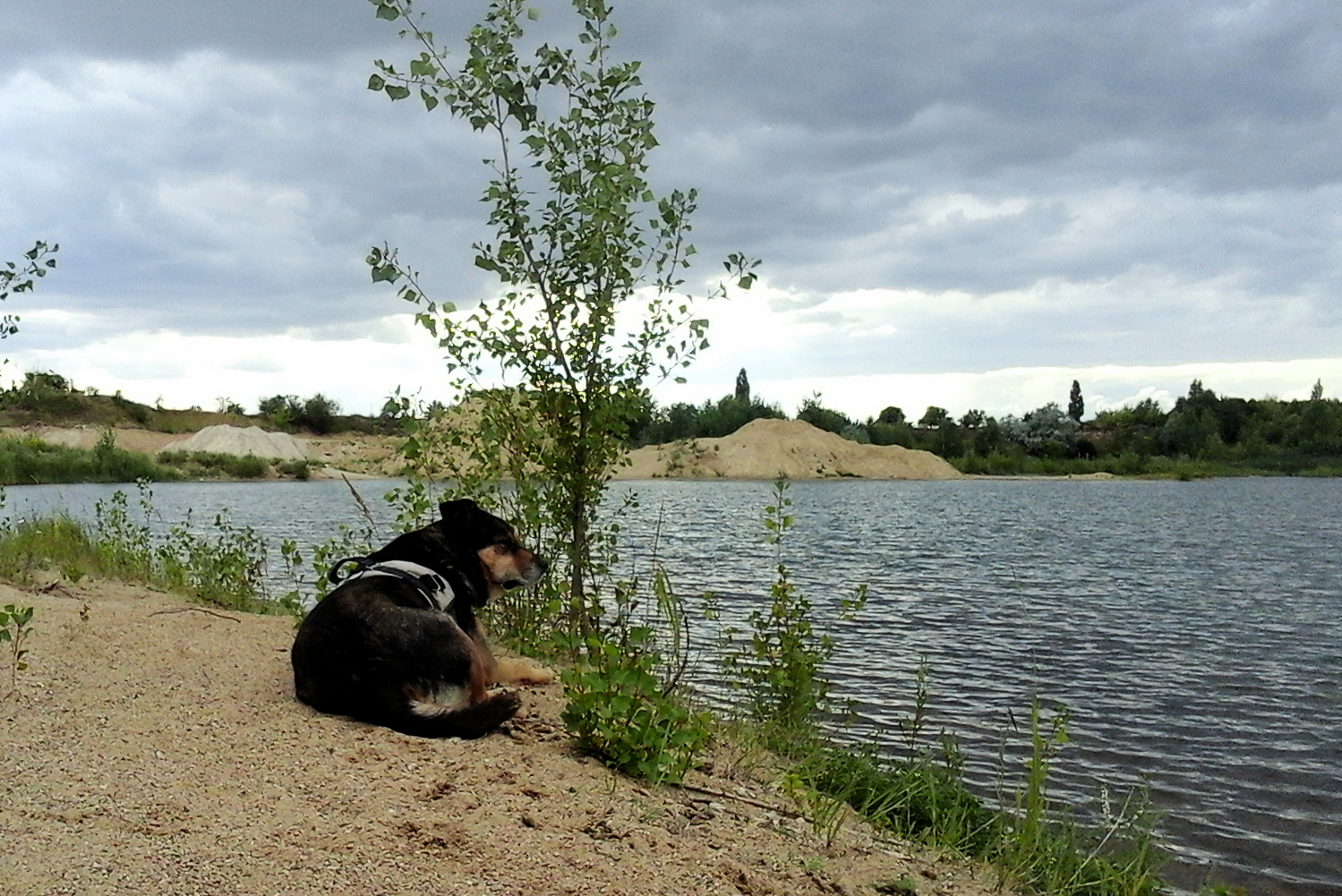 Sandgrube am 30.07.2025
